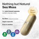 bio-krauter-2-in-1-sea-moss-for-overall--6.jpg