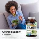 bio-krauter-2-in-1-sea-moss-for-overall--2.jpg