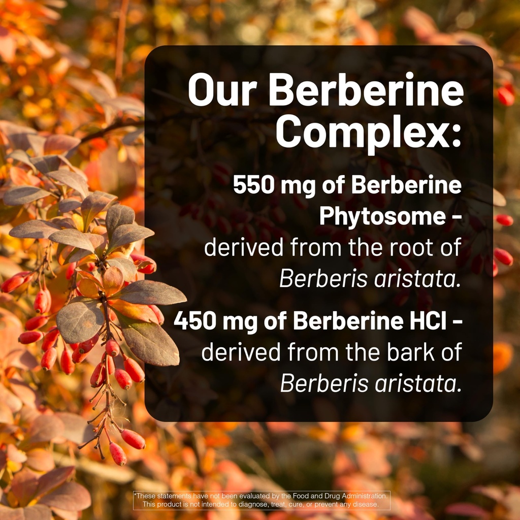 naturewise-berberine-1000mg-berberine-ph-4.jpg