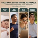 evara-5-ashwagandha-pills-500mg-100-coun-4.jpg