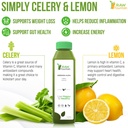 7-day-celery-juice-cleanse-by-raw-founta-4.jpg