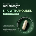 rasayanam-ashwagandha-ksm-66-500mg-5-wit-3.jpg