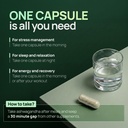 rasayanam-ashwagandha-ksm-66-500mg-5-wit-5.jpg