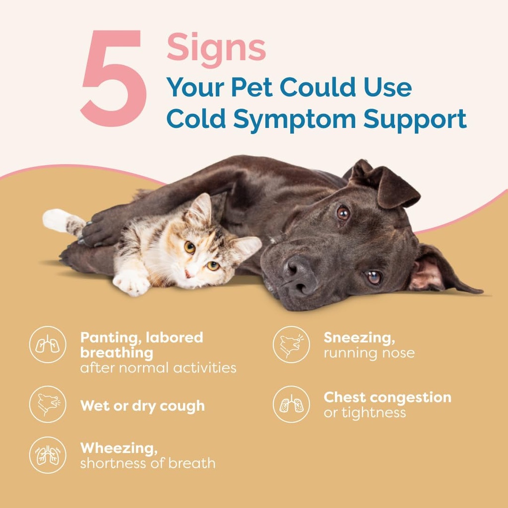 pranapets-cold-symptom-support-for-cats--2.jpg