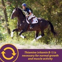 farnam-horse-health-vita-b-1-crumbles-su-3.jpg