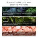 livingood-daily-electrolytes-powder-elec-4.jpg