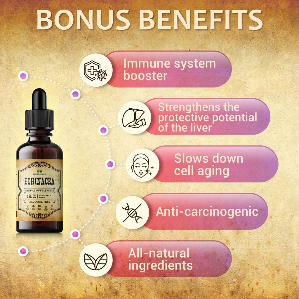 echinacea-supplement-natural-root-extrac-4.jpg