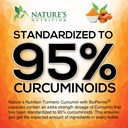 turmeric-curcumin-supplement-1950mg---95-3.jpg