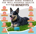 natural-dog-company-wellness-bundle-for--6.jpg