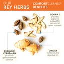 himalaya-comfortcleanse-for-detox-and-ge-4.jpg