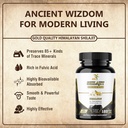 shilajit-pure-himalayan-capsules-fulvic--2.jpg