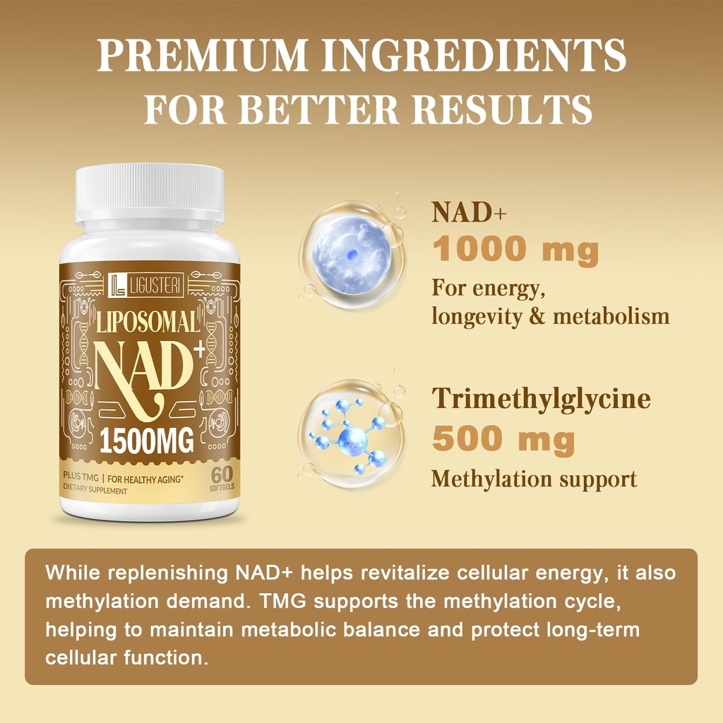 1500-mg-liposomal-nad-98-absorption-nad--4.jpg