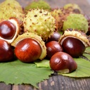 earthborn-elements-horse-chestnut-200-ca-6.jpg