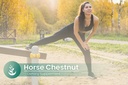 pure-original-ingredients-horse-chestnut-5.jpg