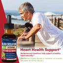 blood-circulation-horse-chestnut-extract-3.jpg
