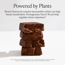 sakara-metabolism-super-bar-healthy-nutr-2.jpg