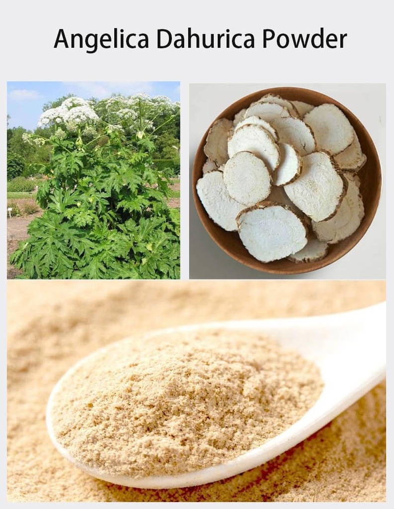 dahurian-angelica-powder-baizhi-fen-8-81-2.jpg