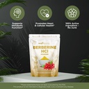 gade-nutrition-berberine-hcl-powder-conc-3.jpg