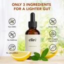 organic-lemon-balm-drops-10-1-gentle-dai-4.jpg