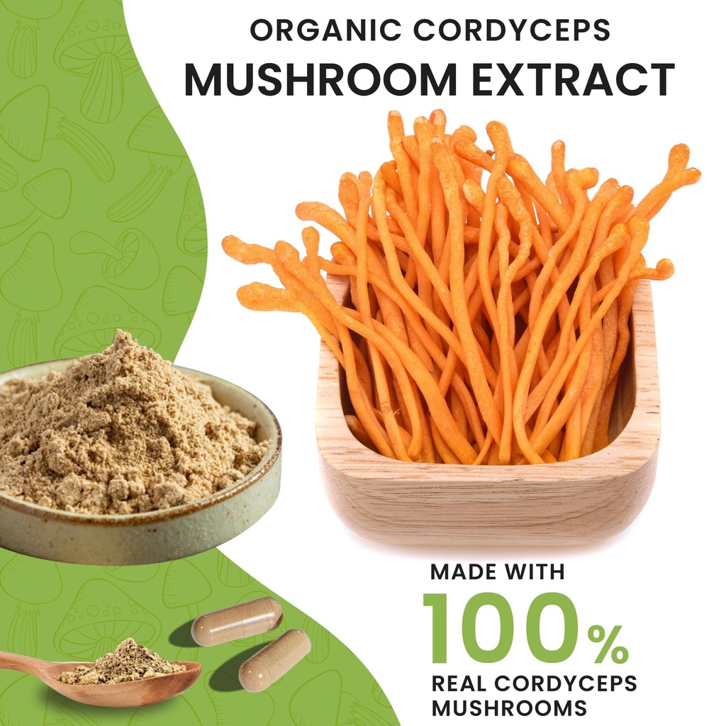organic-cordyceps-mushroom-capsules-supp-3.jpg