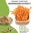 organic-cordyceps-mushroom-capsules-supp-3.jpg