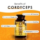 cordyceps-mushroom-extract-tablets-30g-m-4.jpg