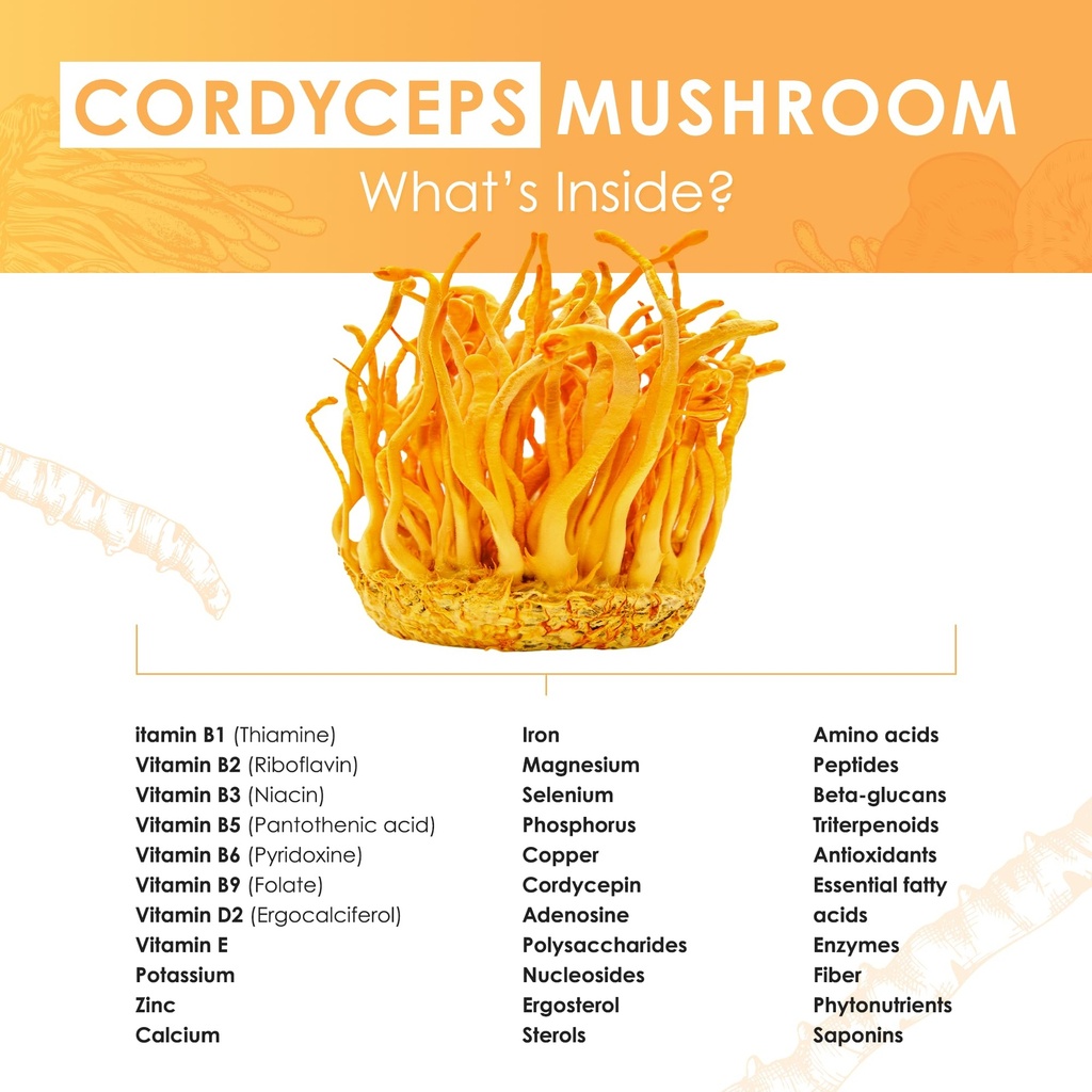 cordyceps-mushroom-extract-tablets-30g-m-3.jpg
