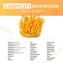 cordyceps-mushroom-extract-tablets-30g-m-3.jpg