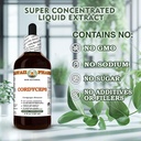 cordyceps-cordyceps-sinensis-dry-whole-m-6.jpg