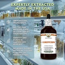 cordyceps-cordyceps-sinensis-dry-whole-m-4.jpg