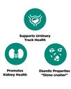 platinum-naturals-chanca-piedra-kidney-h-4.jpg