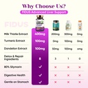 fidus-milk-thistle-liver-liver-cleanse-d-2.jpg
