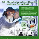 lymphatic-drainage-liver-cleanse-detox-r-5.jpg