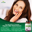 zazzee-dandelion-artichoke-milk-thistle--6.jpg