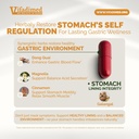 stomach-plus-gastric-lining-integrity-ul-2.jpg