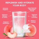 venture-pal-sugar-free-electrolyte-powde-5.jpg