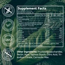 magnesium-glycinate-gummies-500mg-with-l-2.jpg