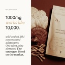 mushroom-coffee-enhancer-10-1-adaptogeni-4.jpg