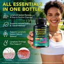 lymphatic-drainage-supplements-with-echi-2.jpg