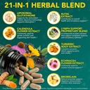 lymphatic-drainage-supplements-with-echi-4.jpg