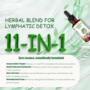 liposomal-lymphatic-detox-drainage-drops-2.jpg