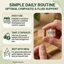 rey-shaw-lymphatic-drainage-supplement-1-6.jpg