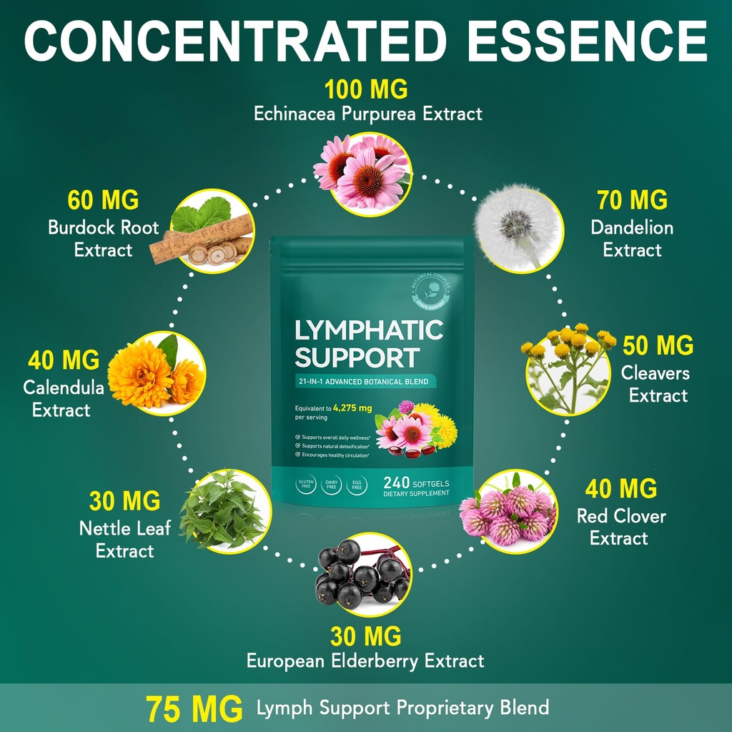 lymphatic-drainage-supplements-echinacea-5.jpg