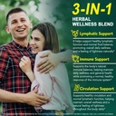 lymphatic-drainage-supplements-echinacea-4.jpg