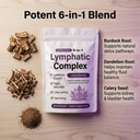 lymphatic-complex-lymphatic-complex-natu-3.jpg