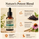 lymphatic-drainage-drops-1200mg-herbal-b-4.jpg