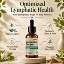 lymphatic-drainage-drops-1200mg-herbal-b-3.jpg