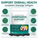 lymphatic-drainage-supplement-with-echin-3.jpg