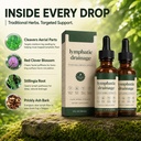lymphatic-drainage-lymphatic-drainage-dr-5.jpg