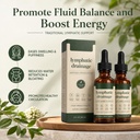 lymphatic-drainage-lymphatic-drainage-dr-3.jpg
